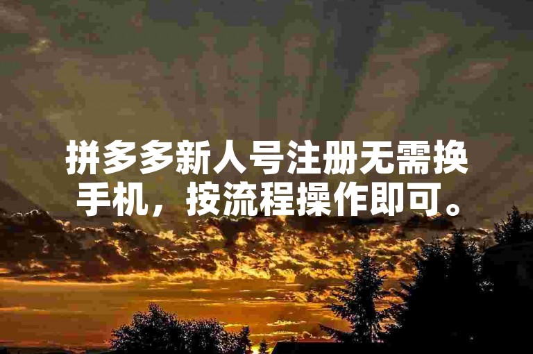 拼多多新人号注册无需换手机，按流程操作即可。