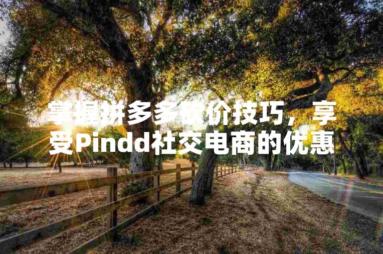 掌握拼多多砍价技巧，享受Pindd社交电商的优惠购物体验。