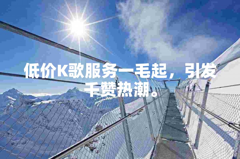 低价K歌服务一毛起，引发千赞热潮。