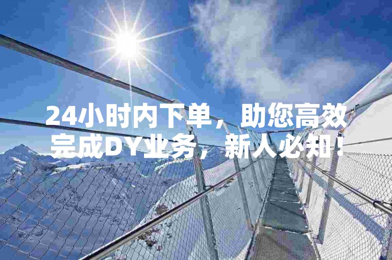 24小时内下单，助您高效完成DY业务，新人必知！