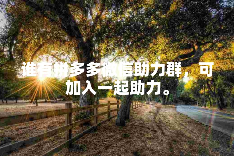 谁有拼多多微信助力群，可加入一起助力。