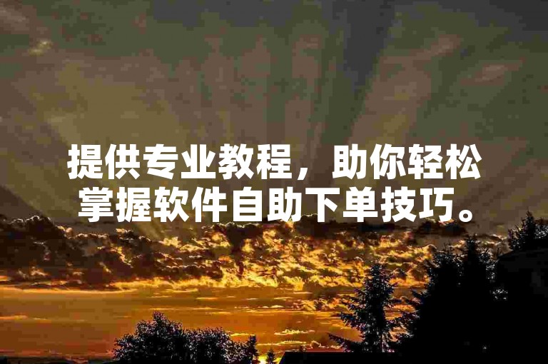 提供专业教程，助你轻松掌握软件自助下单技巧。