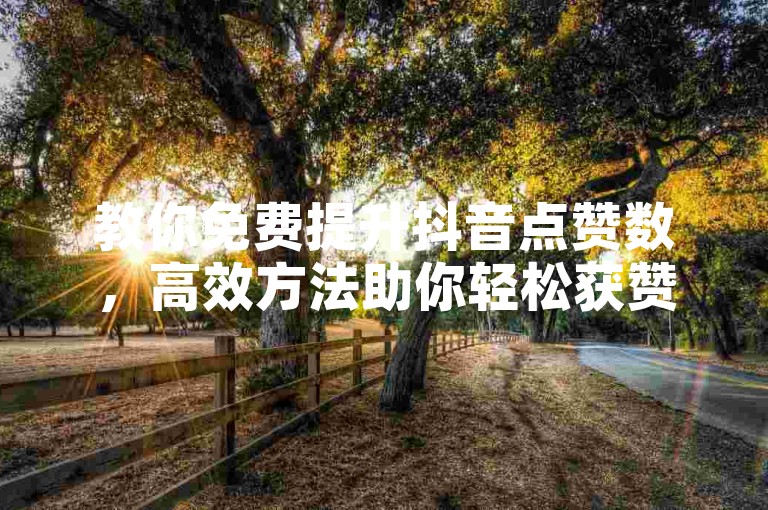 教你免费提升抖音点赞数，高效方法助你轻松获赞。