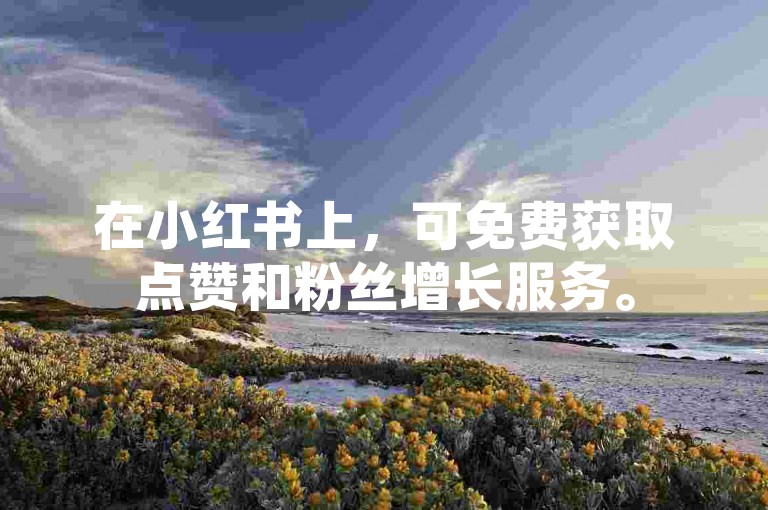 在小红书上，可免费获取点赞和粉丝增长服务。