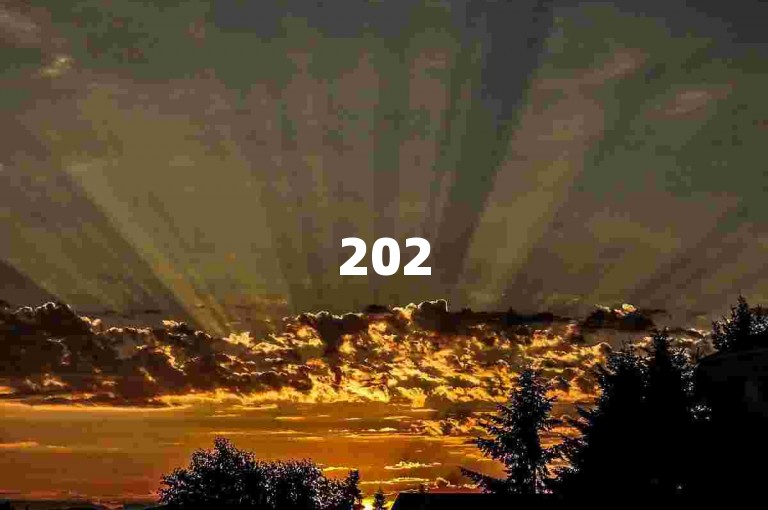 2025 拼多多互助群，新人可入，互帮互助。