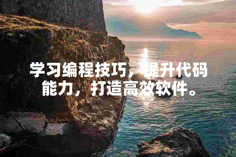 学习编程技巧，提升代码能力，打造高效软件。
