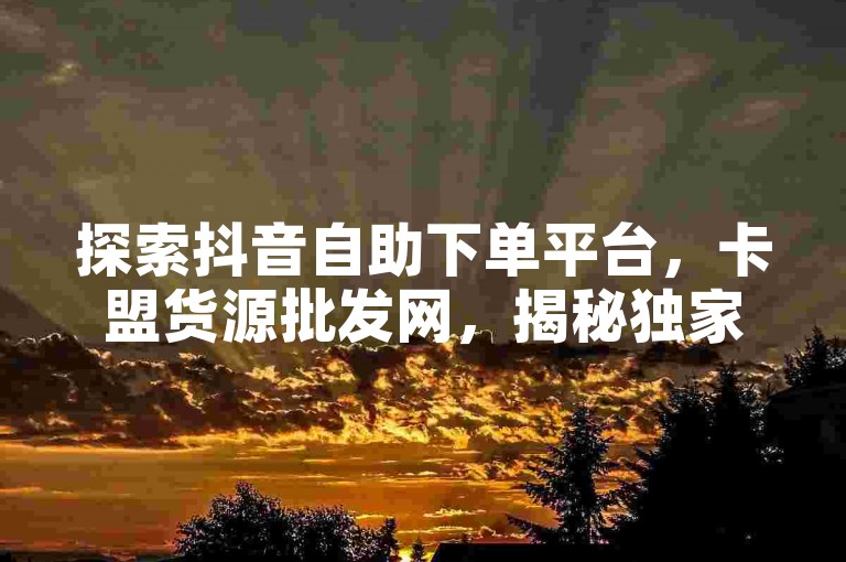 探索抖音自助下单平台，卡盟货源批发网，揭秘独家业务。