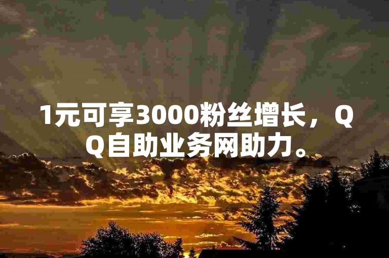 1元可享3000粉丝增长，QQ自助业务网助力。