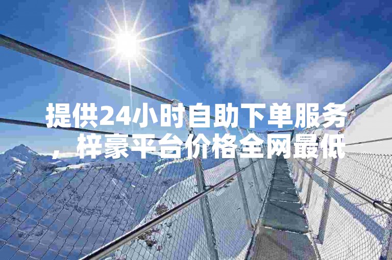 提供24小时自助下单服务，梓豪平台价格全网最低。
