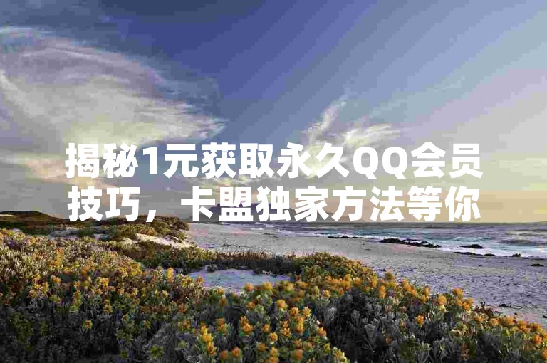 揭秘1元获取永久QQ会员技巧，卡盟独家方法等你来学。