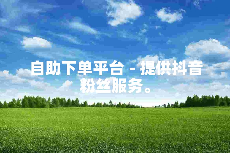自助下单平台 - 提供抖音粉丝服务。