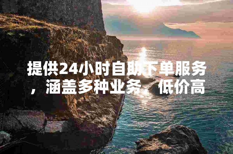 提供24小时自助下单服务，涵盖多种业务，低价高效。