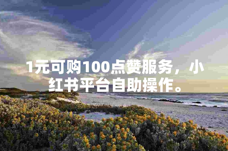 1元可购100点赞服务，小红书平台自助操作。