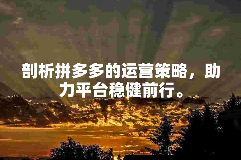 剖析拼多多的运营策略，助力平台稳健前行。