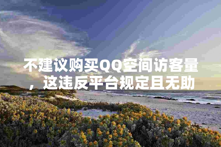 不建议购买QQ空间访客量，这违反平台规定且无助于提升网站流量。