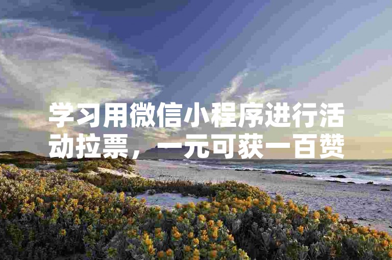 学习用微信小程序进行活动拉票，一元可获一百赞。