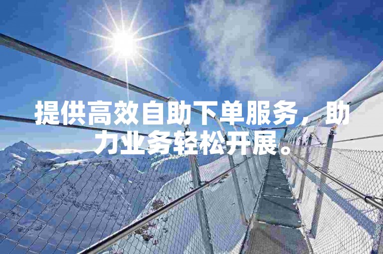 提供高效自助下单服务，助力业务轻松开展。