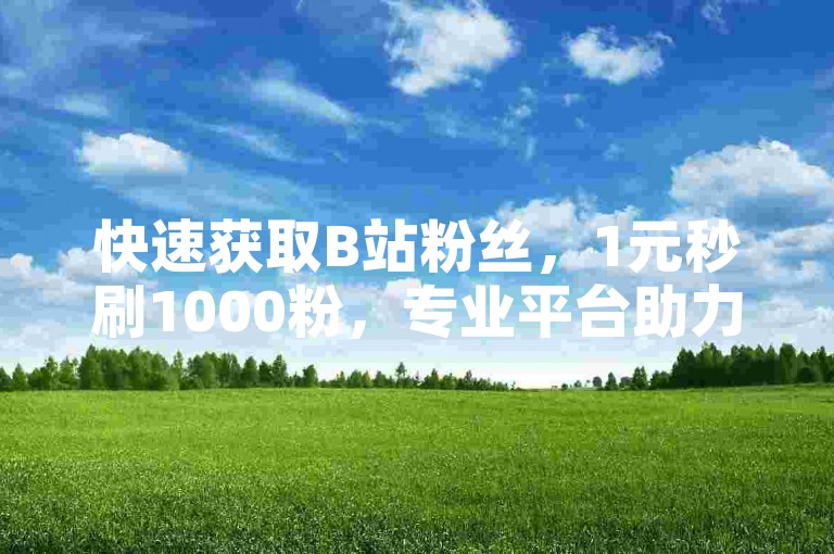 快速获取B站粉丝，1元秒刷1000粉，专业平台助力。