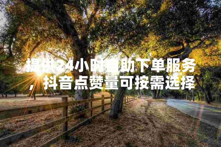 提供24小时自助下单服务，抖音点赞量可按需选择。