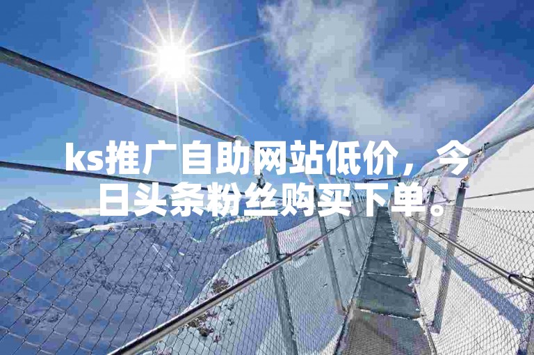 ks推广自助网站低价，今日头条粉丝购买下单。
