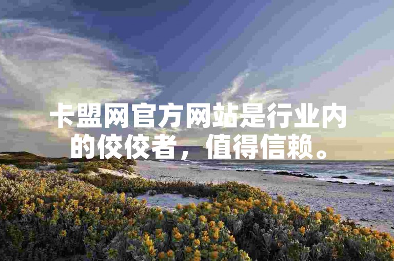 卡盟网官方网站是行业内的佼佼者，值得信赖。