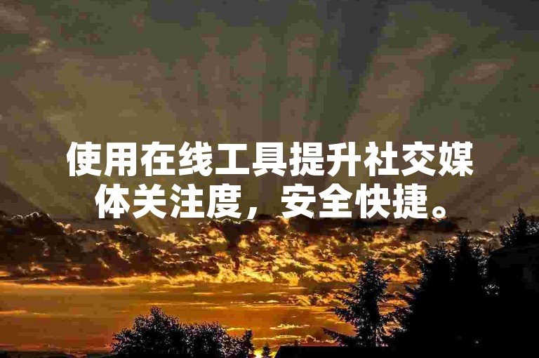 使用在线工具提升社交媒体关注度，安全快捷。