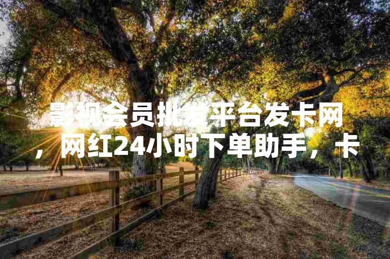 影视会员批发平台发卡网，网红24小时下单助手，卡盟网站。