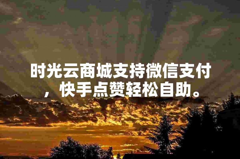 时光云商城支持微信支付，快手点赞轻松自助。
