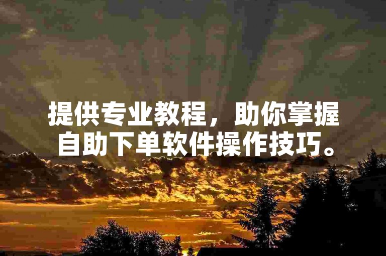 提供专业教程，助你掌握自助下单软件操作技巧。
