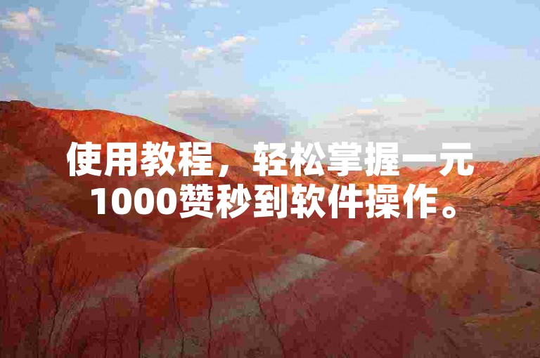 使用教程，轻松掌握一元1000赞秒到软件操作。