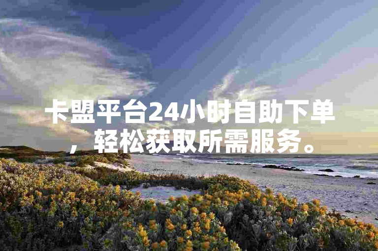 卡盟平台24小时自助下单，轻松获取所需服务。
