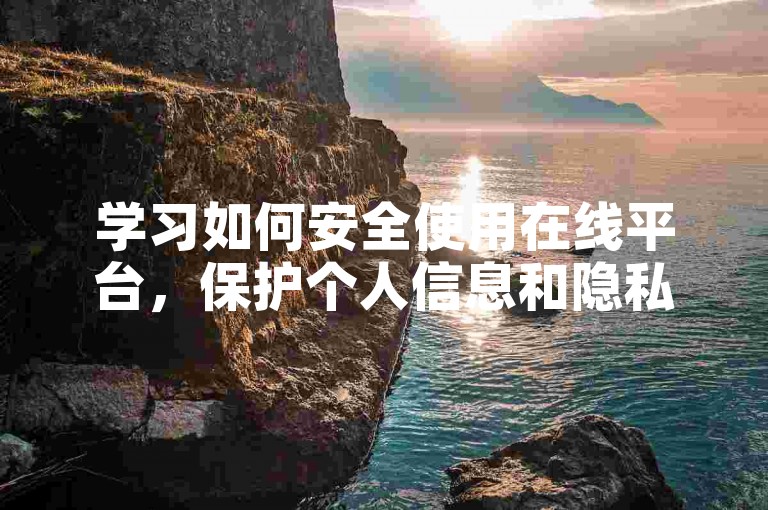 学习如何安全使用在线平台，保护个人信息和隐私。