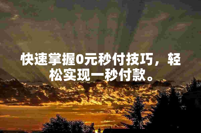 快速掌握0元秒付技巧，轻松实现一秒付款。