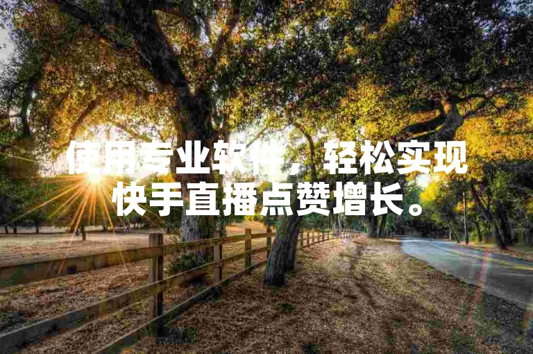 使用专业软件，轻松实现快手直播点赞增长。