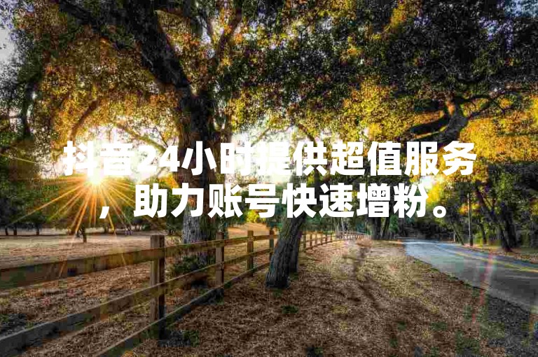 抖音24小时提供超值服务，助力账号快速增粉。