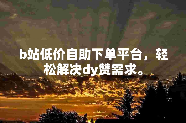 b站低价自助下单平台，轻松解决dy赞需求。