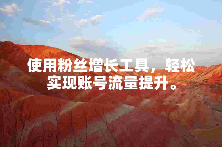 使用粉丝增长工具，轻松实现账号流量提升。