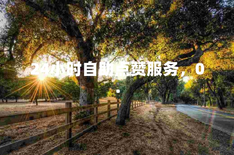 24小时自助点赞服务，0.5元享1000赞，专业平台助力。