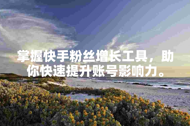 掌握快手粉丝增长工具，助你快速提升账号影响力。
