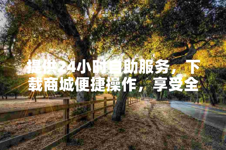 提供24小时自助服务，下载商城便捷操作，享受全网最低价的热血体验。