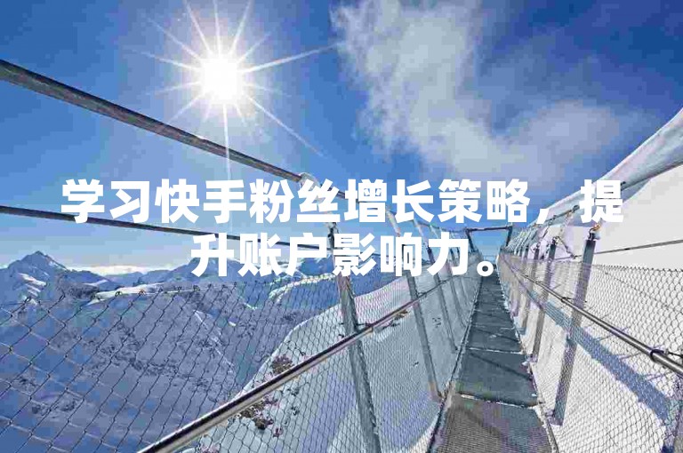 学习快手粉丝增长策略，提升账户影响力。