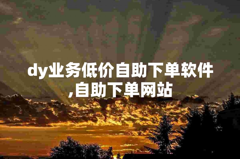 dy业务低价自助下单软件,自助下单网站
