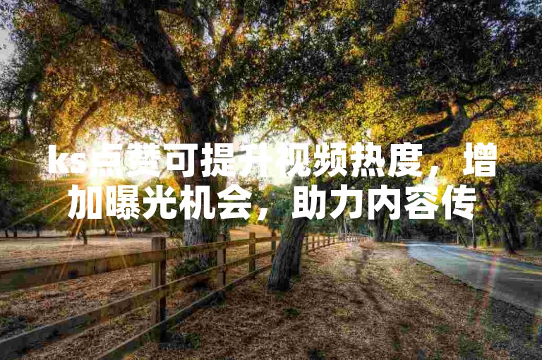 ks点赞可提升视频热度，增加曝光机会，助力内容传播。