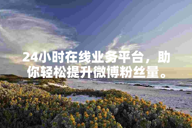 24小时在线业务平台，助你轻松提升微博粉丝量。