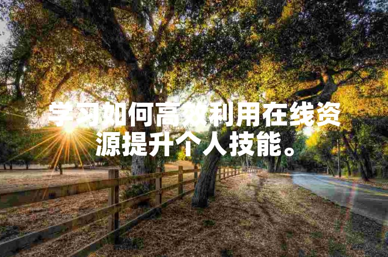 学习如何高效利用在线资源提升个人技能。