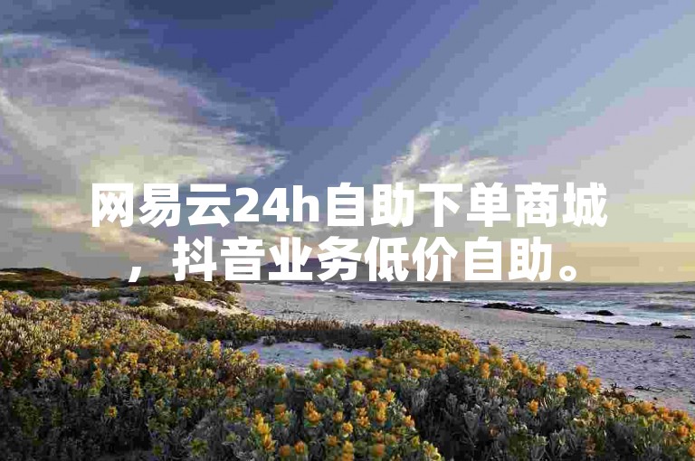 网易云24h自助下单商城，抖音业务低价自助。