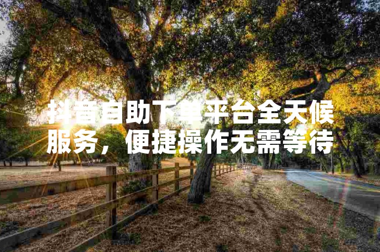 抖音自助下单平台全天候服务，便捷操作无需等待。