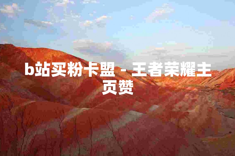 b站买粉卡盟 - 王者荣耀主页赞