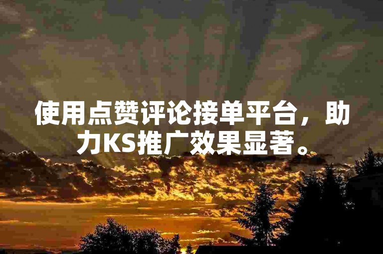 使用点赞评论接单平台，助力KS推广效果显著。