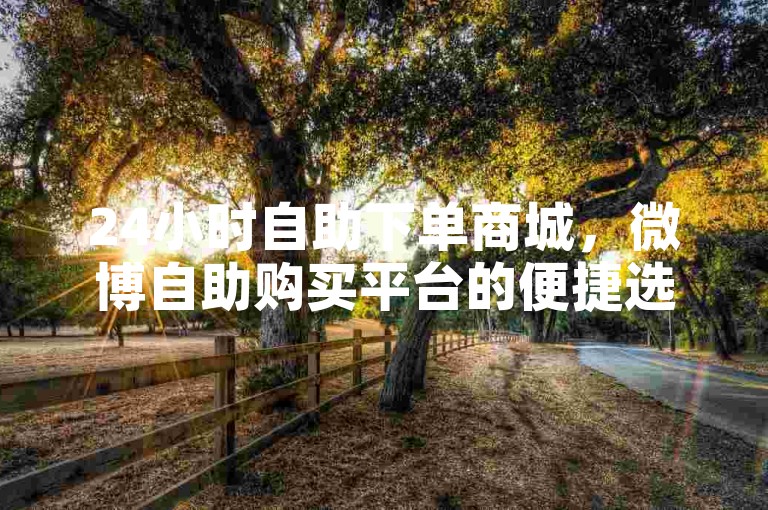 24小时自助下单商城，微博自助购买平台的便捷选择。